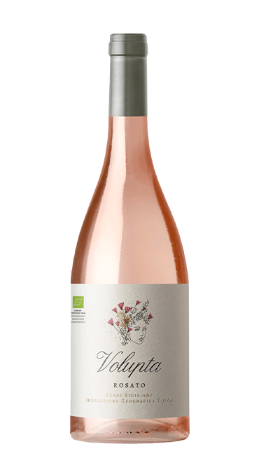 Rosato Terre Siciliane Bio