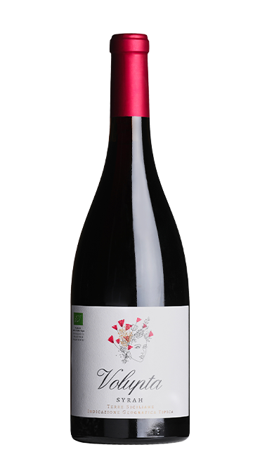 Syrah Terre Siciliane Bio